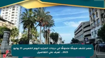 مصر تشهد هبوطًا ملحوظًا في درجات الحرارة اليوم الخميس 31 يوليو 2025.. تعرف على التفاصيل